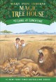 Go to record Lions at lunchtime