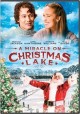 Go to record A miracle on Christmas lake