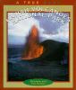 Go to record Hawaii Volcanoes National Park