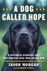 Go to record A dog called hope : a wounded warrior and the service dog ...