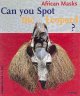 Go to record Can you spot the leopard? : African masks