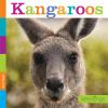 Go to record Kangaroos