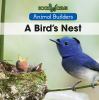 Go to record A bird's nest