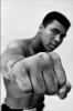 Go to record Ali : a life