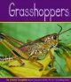 Go to record Grasshoppers