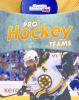 Go to record A superfan's guide to pro hockey teams