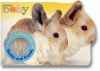 Go to record Bunny and friends.