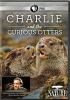 Go to record Charlie and the curious otters