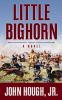 Go to record Little Bighorn