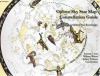 Go to record Ojibwe sky star map constellation guidebook : an introduct...