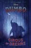 Go to record Dumbo : circus of dreams
