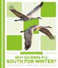 Go to record Why do birds fly South for winter?