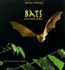 Go to record Bats and their homes