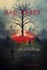 Go to record Bad order : a little known tale of regular kids and hologr...