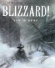 Go to record Blizzard