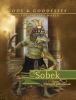 Go to record Sobek
