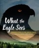 Go to record What the eagle sees : Indigenous stories of rebellion and ...
