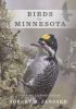 Go to record Birds in Minnesota