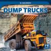 Go to record Dump trucks