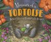 Go to record Memoirs of a tortoise