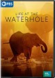 Go to record Life at the waterhole