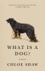 Go to record What is a dog? : a memoir
