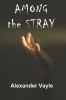 Go to record Among the stray