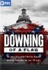 Go to record Downing of a flag : the story of a symbol that has haunted...