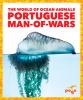 Go to record Portuguese man-of-wars
