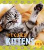 Go to record The cutest kittens ever
