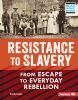 Go to record Resistance to slavery : from escape to everyday rebellion