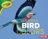 Go to record Crayola bird colors