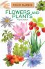 Go to record Flowers and plants
