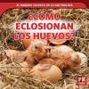 Go to record Cómo eclosionan los huevos?