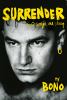 Go to record Surrender : 40 songs, one story