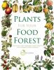 Go to record Plants for your food forest : 500 plants for temperate foo...