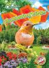 Go to record Hummingbirds
