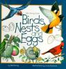 Go to record Birds, nests, and eggs
