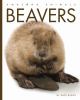 Go to record Beavers