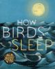 Go to record How birds sleep