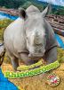 Go to record Rhinoceroses