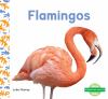Go to record Flamingos
