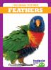 Go to record Feathers