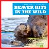 Go to record Beaver kits in the wild
