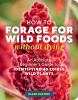 Go to record How to forage for wild foods without dying : an absolute b...