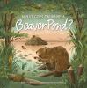 Go to record What goes on inside a beaver pond?