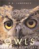 Go to record Owls : the silent fliers