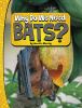 Go to record Why do we need bats?