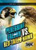 Go to record Peregrine falcon vs. red-tailed hawk