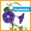 Go to record Flowers